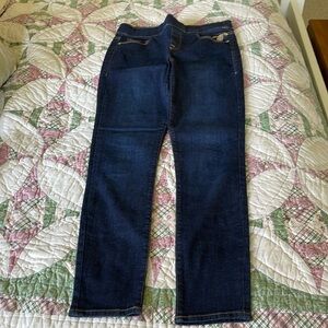 Tommy Hilfiger Gramercy Dark Jean Jeggings Size 4